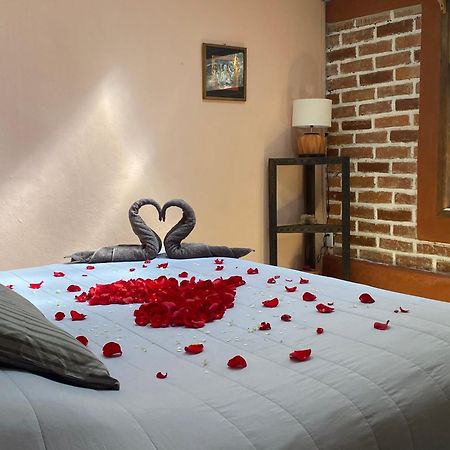 Hostal Casa 4 Estaciones, Coliving & Nature San Cristóbal de Las Casas Eksteriør billede