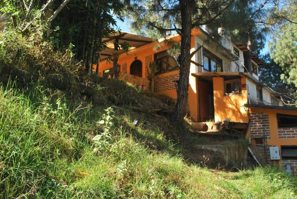 Hostal Casa 4 Estaciones, Coliving & Nature San Cristóbal de Las Casas Eksteriør billede