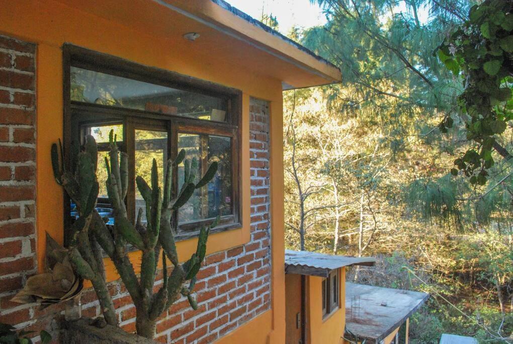 Hostal Casa 4 Estaciones, Coliving & Nature San Cristóbal de Las Casas Eksteriør billede