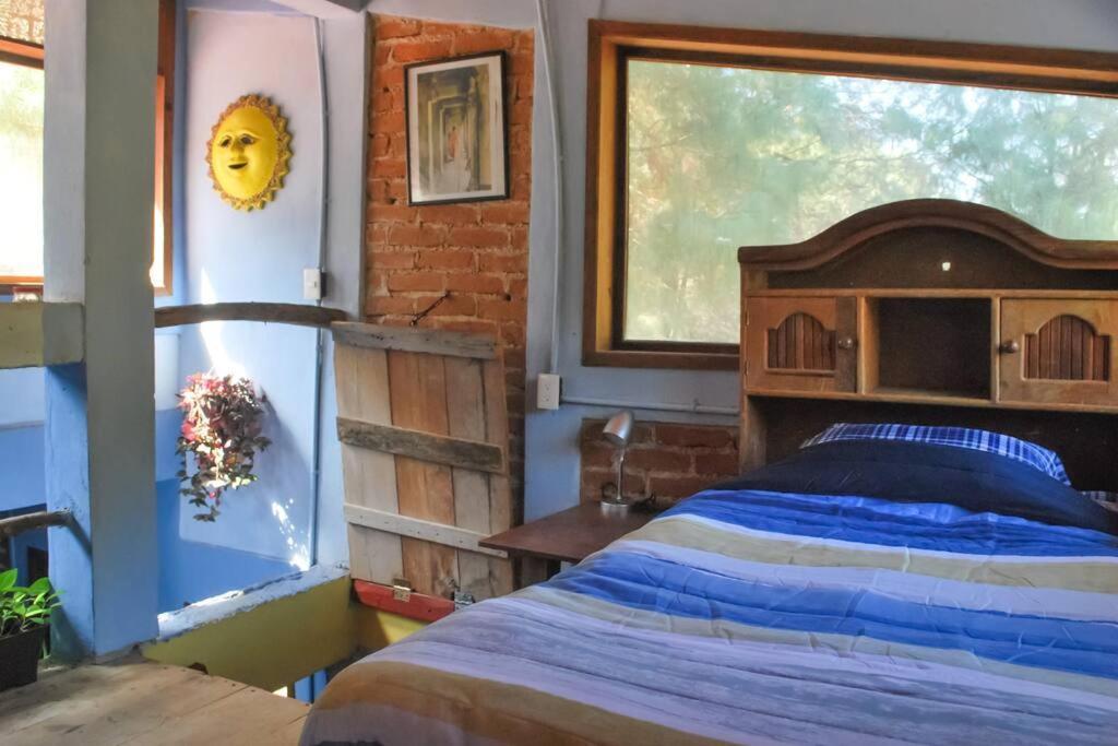 Hostal Casa 4 Estaciones, Coliving & Nature San Cristóbal de Las Casas Eksteriør billede