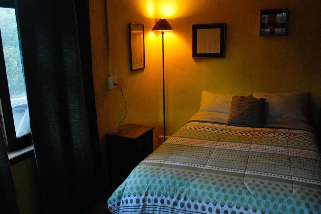 Hostal Casa 4 Estaciones, Coliving & Nature San Cristóbal de Las Casas Eksteriør billede