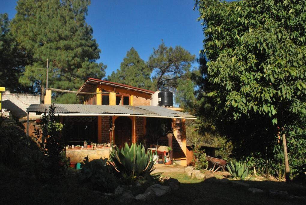 Hostal Casa 4 Estaciones, Coliving & Nature San Cristóbal de Las Casas Eksteriør billede