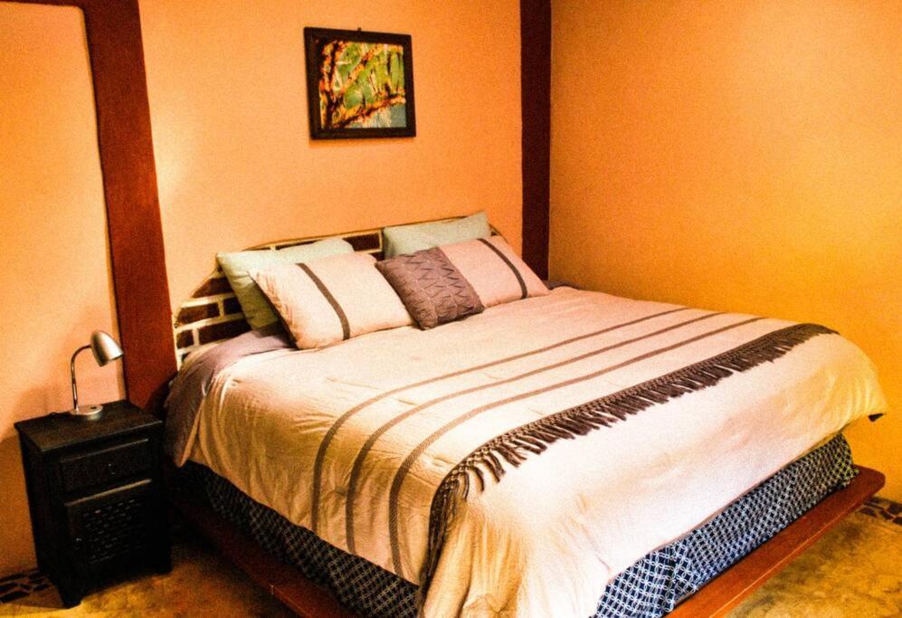 Hostal Casa 4 Estaciones, Coliving & Nature San Cristóbal de Las Casas Eksteriør billede